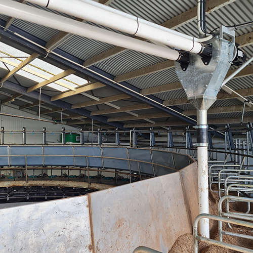 in shed feed systems