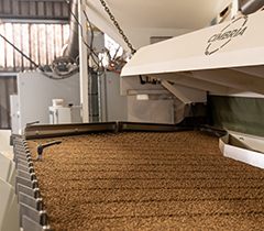 Seed-Cleaning-and-Processing-Product-Category-1-Cleaning-and-treating-Cimbra